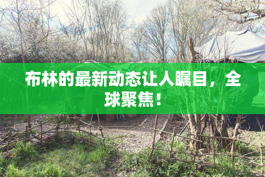 布林的最新动态让人瞩目，全球聚焦！