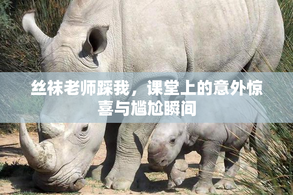 丝袜老师踩我，课堂上的意外惊喜与尴尬瞬间