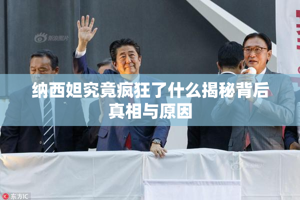 纳西妲究竟疯狂了什么揭秘背后真相与原因