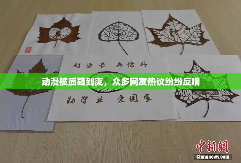 动漫被质疑到爽，众多网友热议纷纷反响