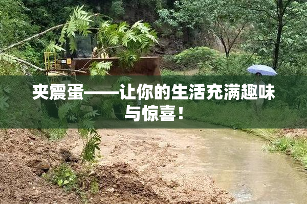 夹震蛋——让你的生活充满趣味与惊喜！