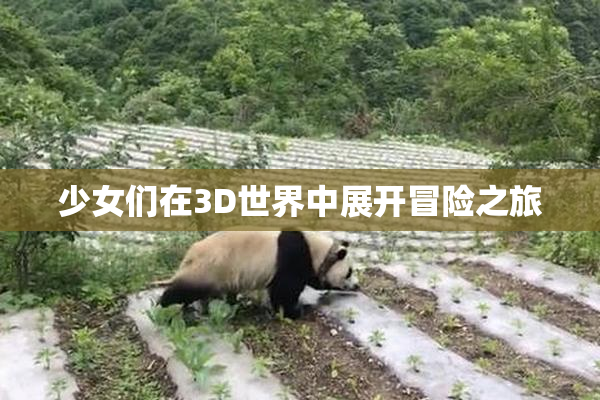 少女们在3D世界中展开冒险之旅