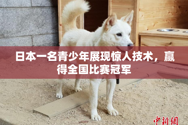日本一名青少年展现惊人技术，赢得全国比赛冠军