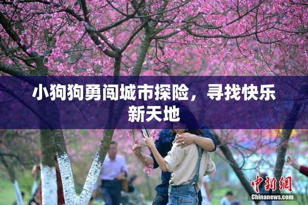 小狗狗勇闯城市探险，寻找快乐新天地