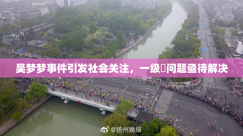 吴梦梦事件引发社会关注，一级婬问题亟待解决