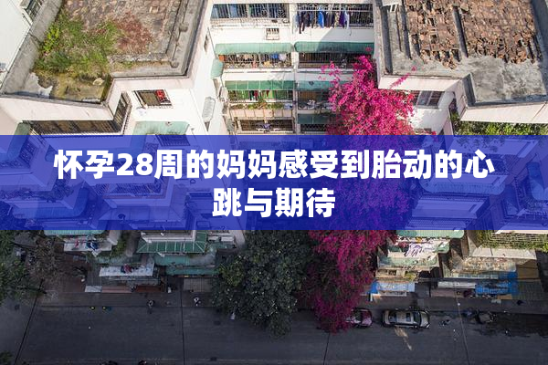 怀孕28周的妈妈感受到胎动的心跳与期待