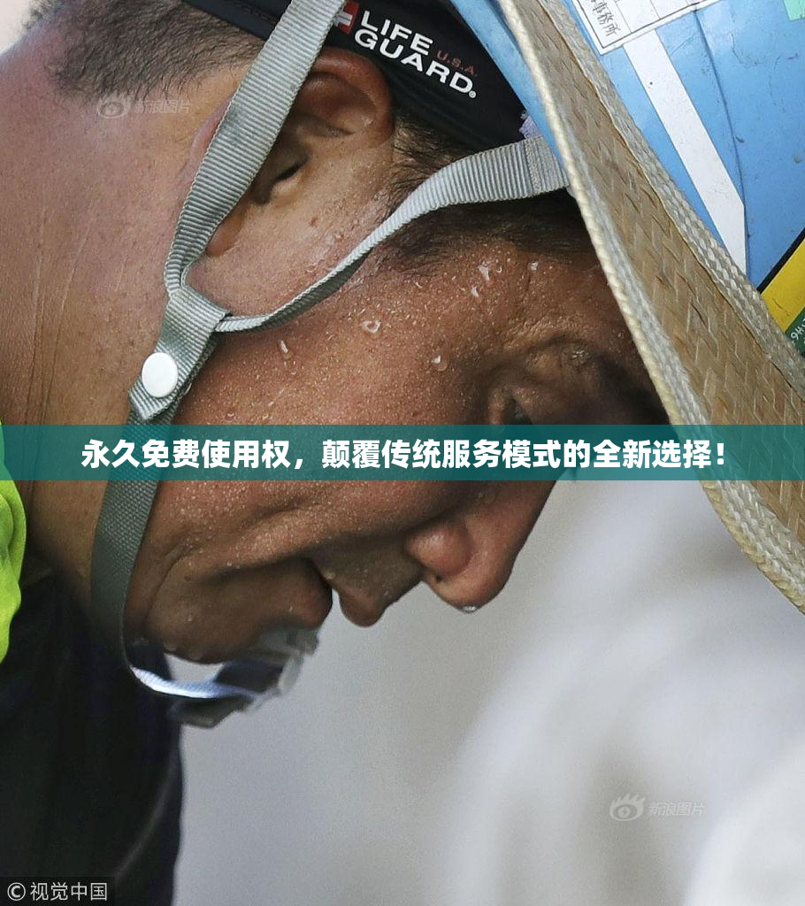永久免费使用权，颠覆传统服务模式的全新选择！