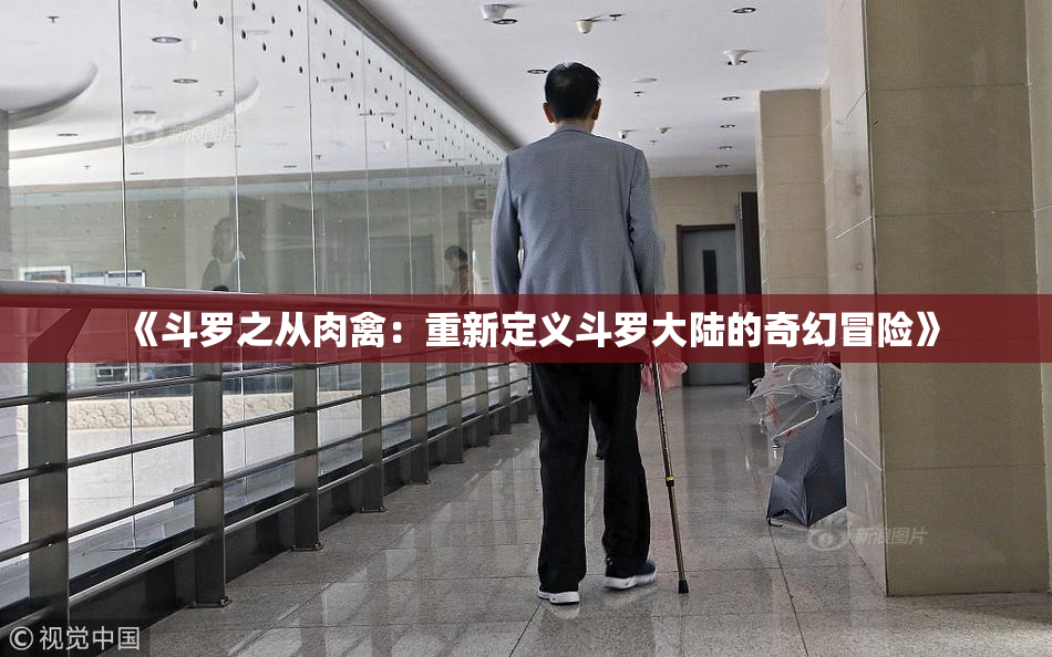 《斗罗之从肉禽：重新定义斗罗大陆的奇幻冒险》
