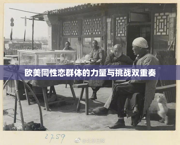 欧美同性恋群体的力量与挑战双重奏