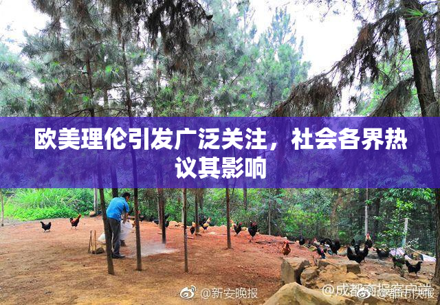 欧美理伦引发广泛关注，社会各界热议其影响