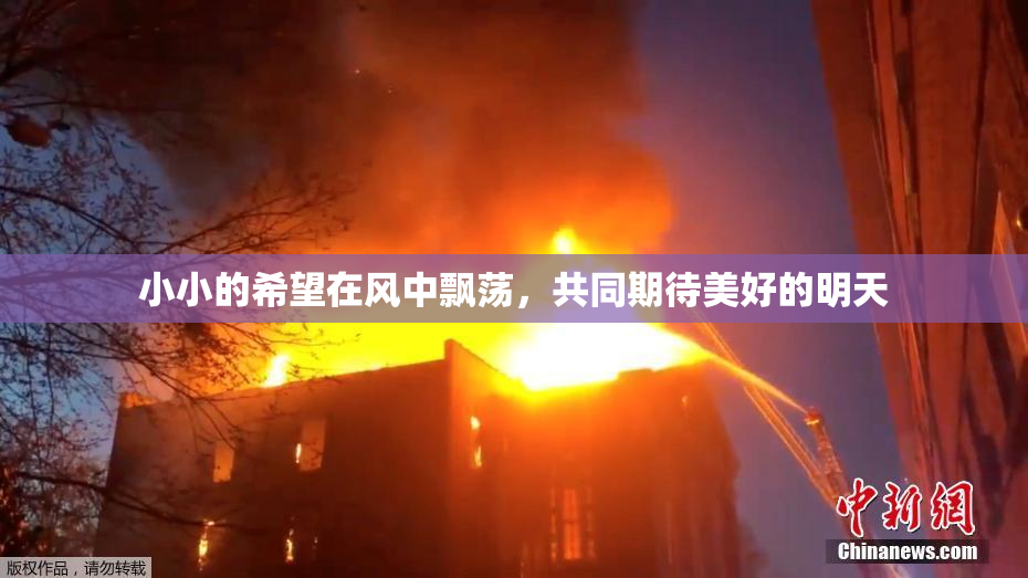小小的希望在风中飘荡，共同期待美好的明天