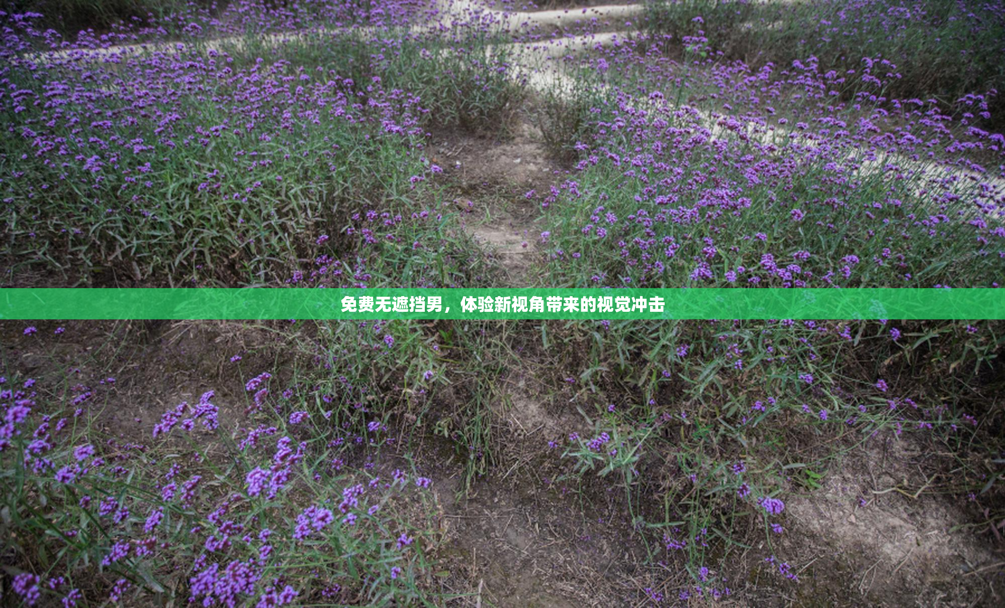 免费无遮挡男，体验新视角带来的视觉冲击