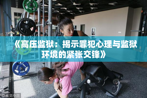 《高压监狱：揭示罪犯心理与监狱环境的紧张交锋》
