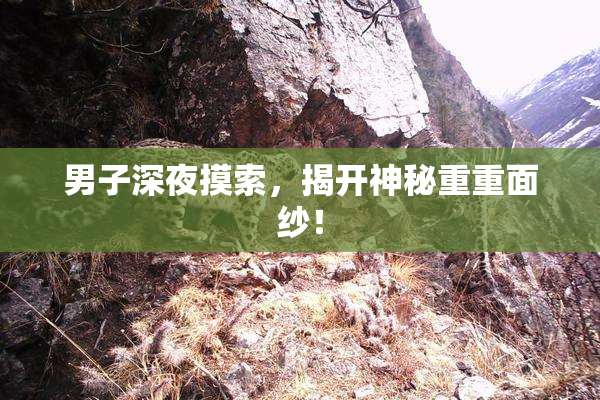 男子深夜摸索，揭开神秘重重面纱！