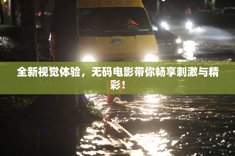 全新视觉体验，无码电影带你畅享刺激与精彩！