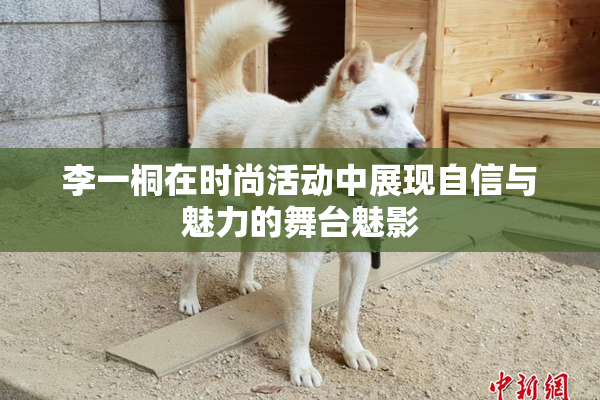 李一桐在时尚活动中展现自信与魅力的舞台魅影