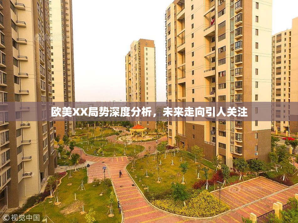 欧美XX局势深度分析，未来走向引人关注