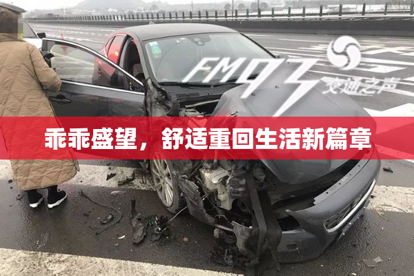 乖乖盛望，舒适重回生活新篇章