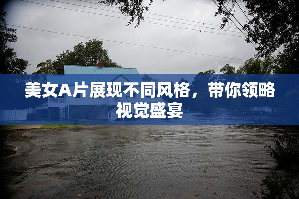 美女A片展现不同风格，带你领略视觉盛宴