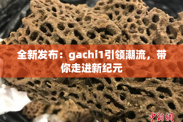 全新发布：gachi1引领潮流，带你走进新纪元