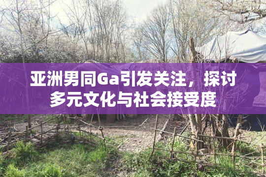 亚洲男同Ga引发关注，探讨多元文化与社会接受度