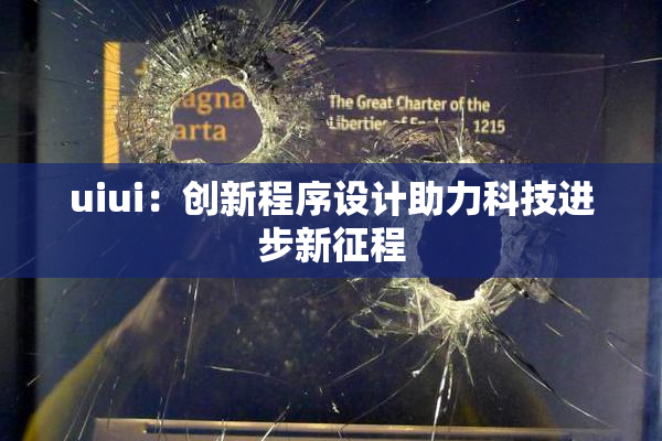 uiui：创新程序设计助力科技进步新征程