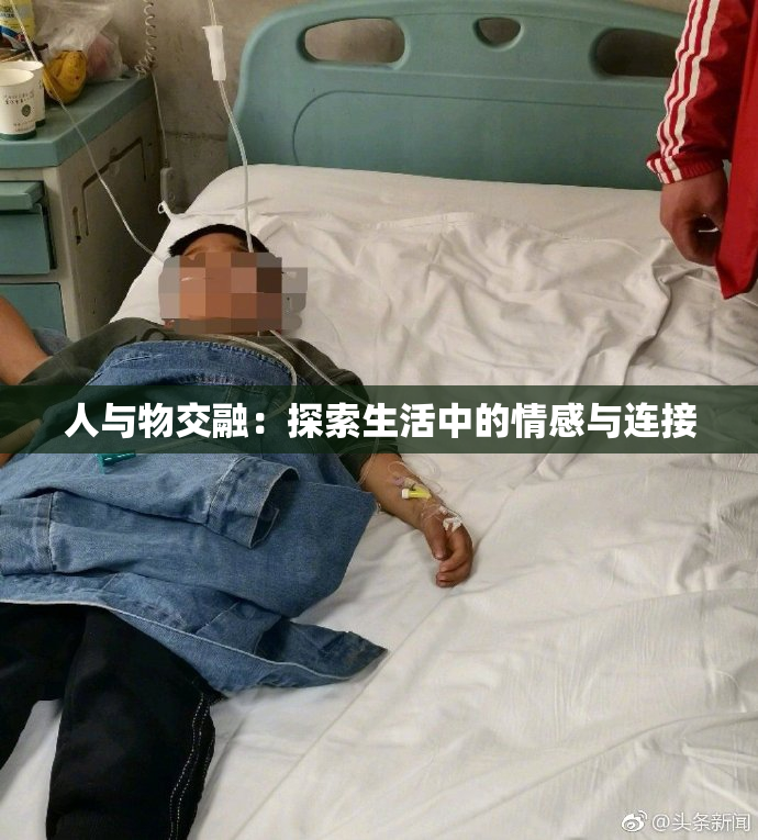 人与物交融：探索生活中的情感与连接