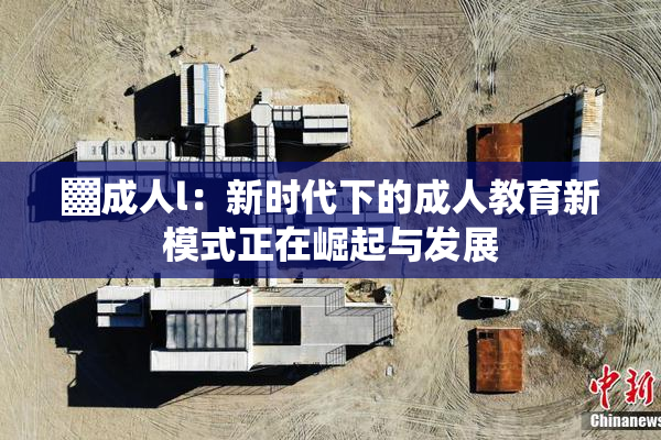 ▓成人l：新时代下的成人教育新模式正在崛起与发展