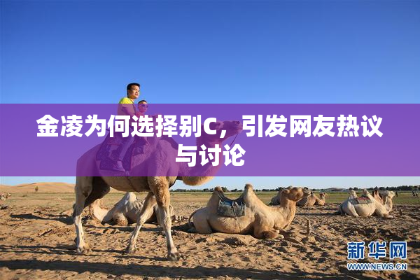 金凌为何选择别C，引发网友热议与讨论