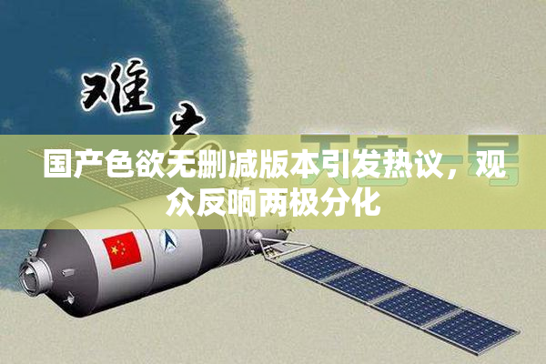 国产色欲无删减版本引发热议，观众反响两极分化