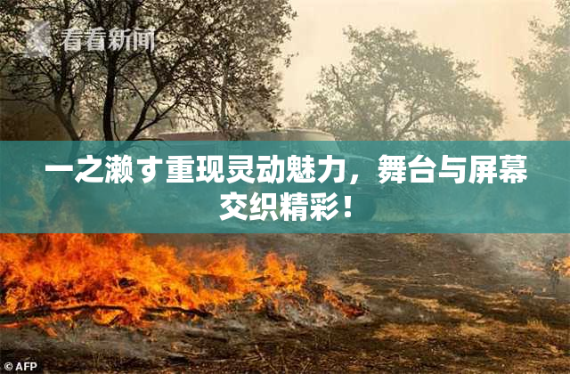 一之濑す重现灵动魅力，舞台与屏幕交织精彩！