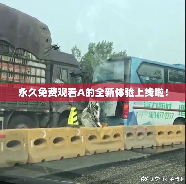 永久免费观看A的全新体验上线啦！