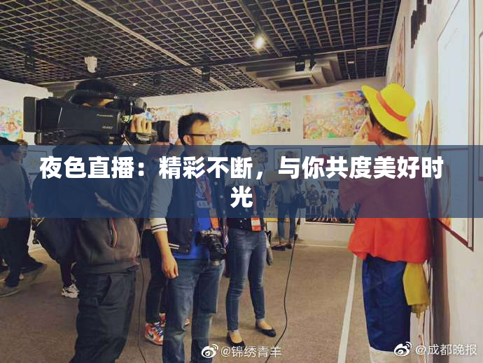 夜色直播：精彩不断，与你共度美好时光