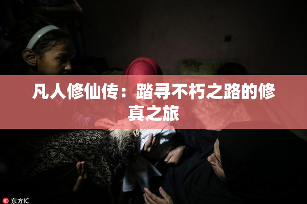 凡人修仙传：踏寻不朽之路的修真之旅
