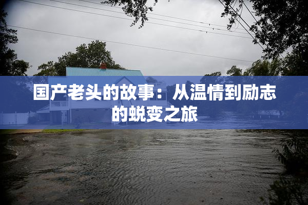 国产老头的故事：从温情到励志的蜕变之旅