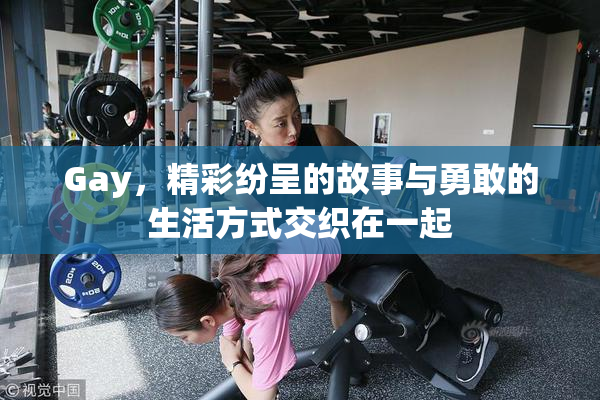Gay，精彩纷呈的故事与勇敢的生活方式交织在一起
