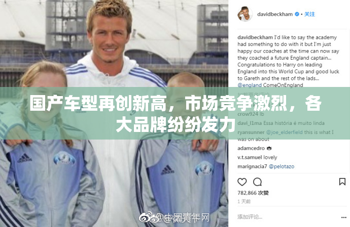 国产车型再创新高，市场竞争激烈，各大品牌纷纷发力