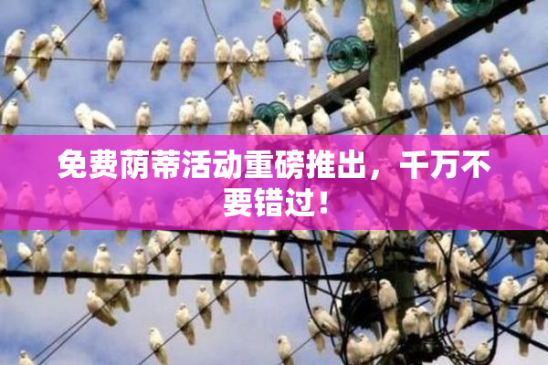 免费荫蒂活动重磅推出，千万不要错过！