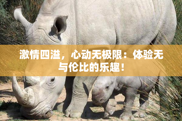 激情四溢，心动无极限：体验无与伦比的乐趣！