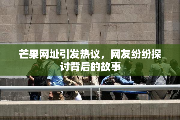 芒果网址引发热议，网友纷纷探讨背后的故事