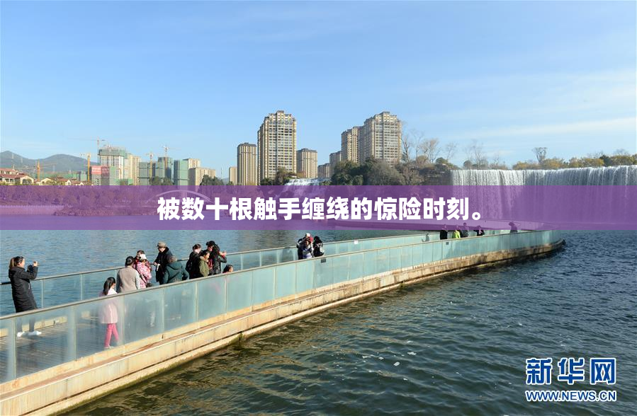 被数十根触手缠绕的惊险时刻。