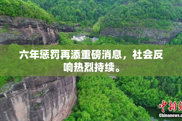 六年惩罚再添重磅消息，社会反响热烈持续。