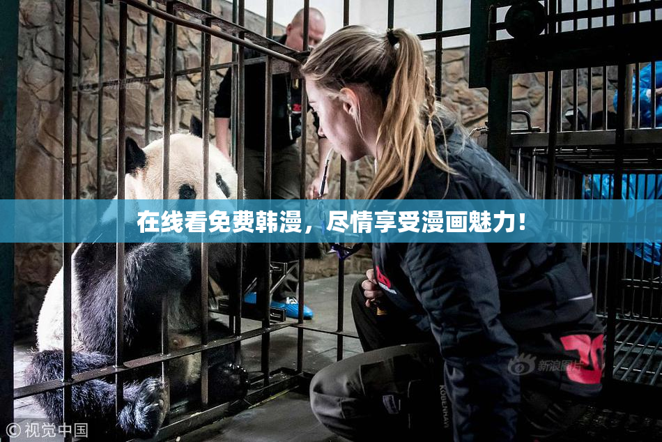 在线看免费韩漫，尽情享受漫画魅力！