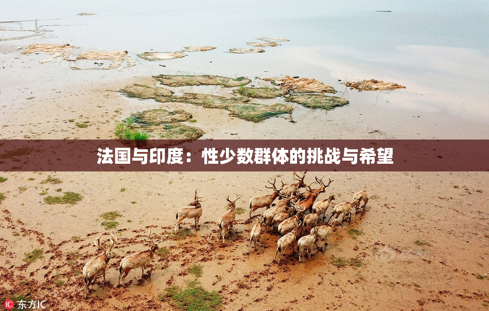 法国与印度：性少数群体的挑战与希望