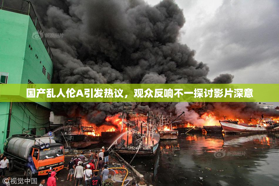 国产乱人伦A引发热议，观众反响不一探讨影片深意