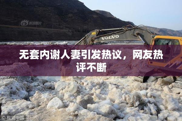 无套内谢人妻引发热议，网友热评不断