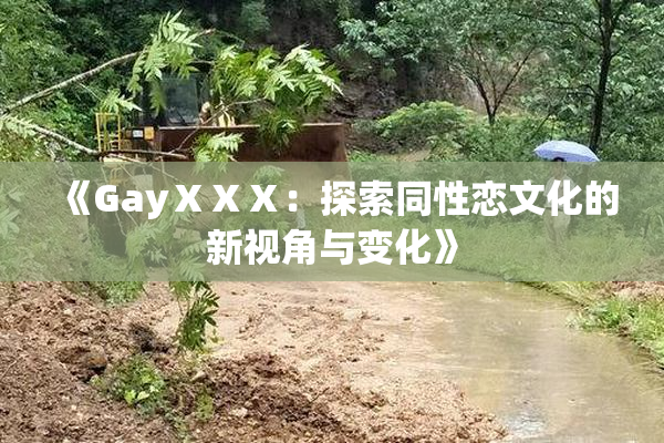 《GayⅩⅩⅩ：探索同性恋文化的新视角与变化》