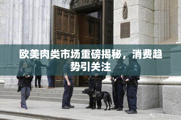 欧美肉类市场重磅揭秘，消费趋势引关注