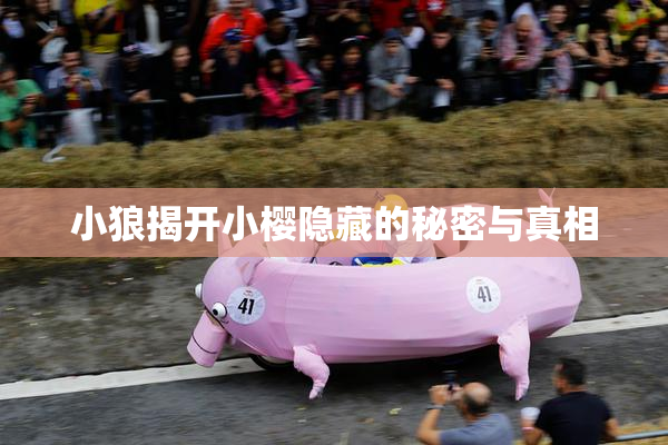 小狼揭开小樱隐藏的秘密与真相