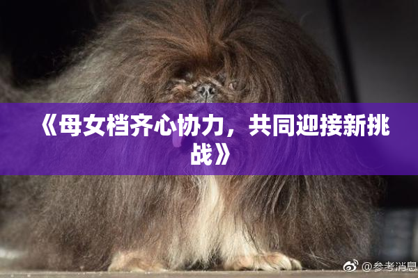 《母女档齐心协力，共同迎接新挑战》